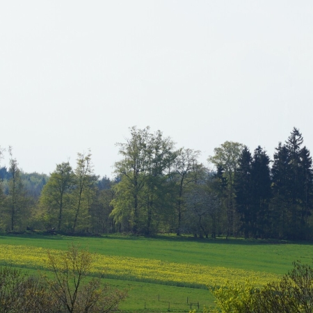 23 D HES VB VB DSC03685 1.jpg